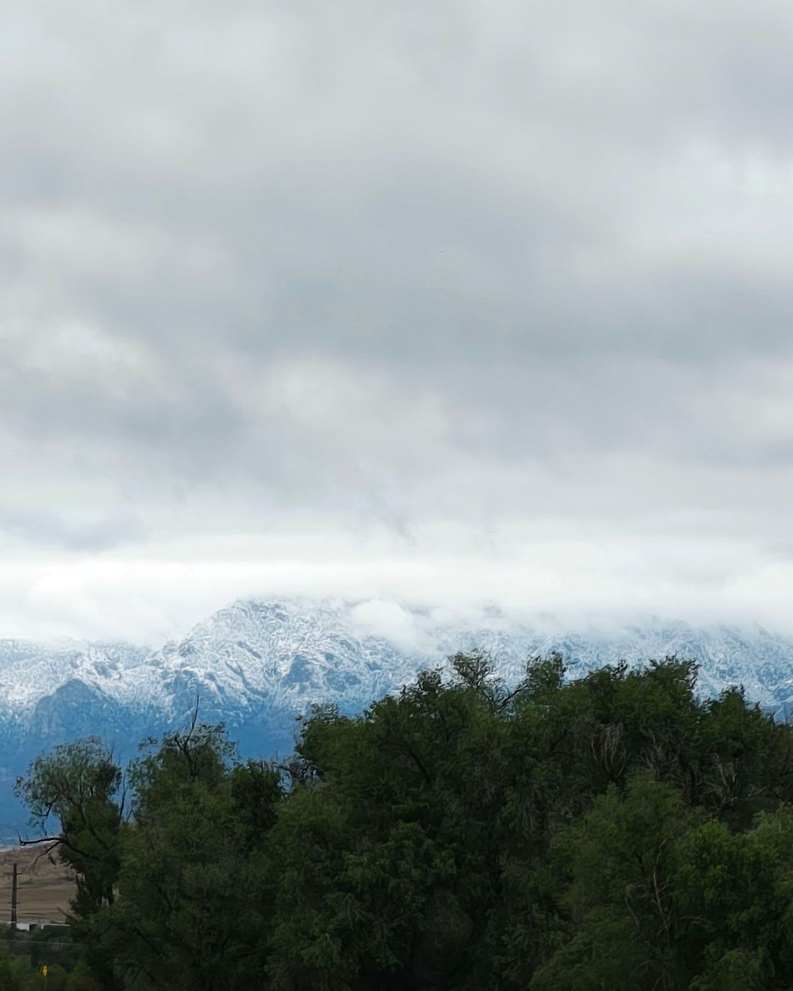 Stormy, photo 2